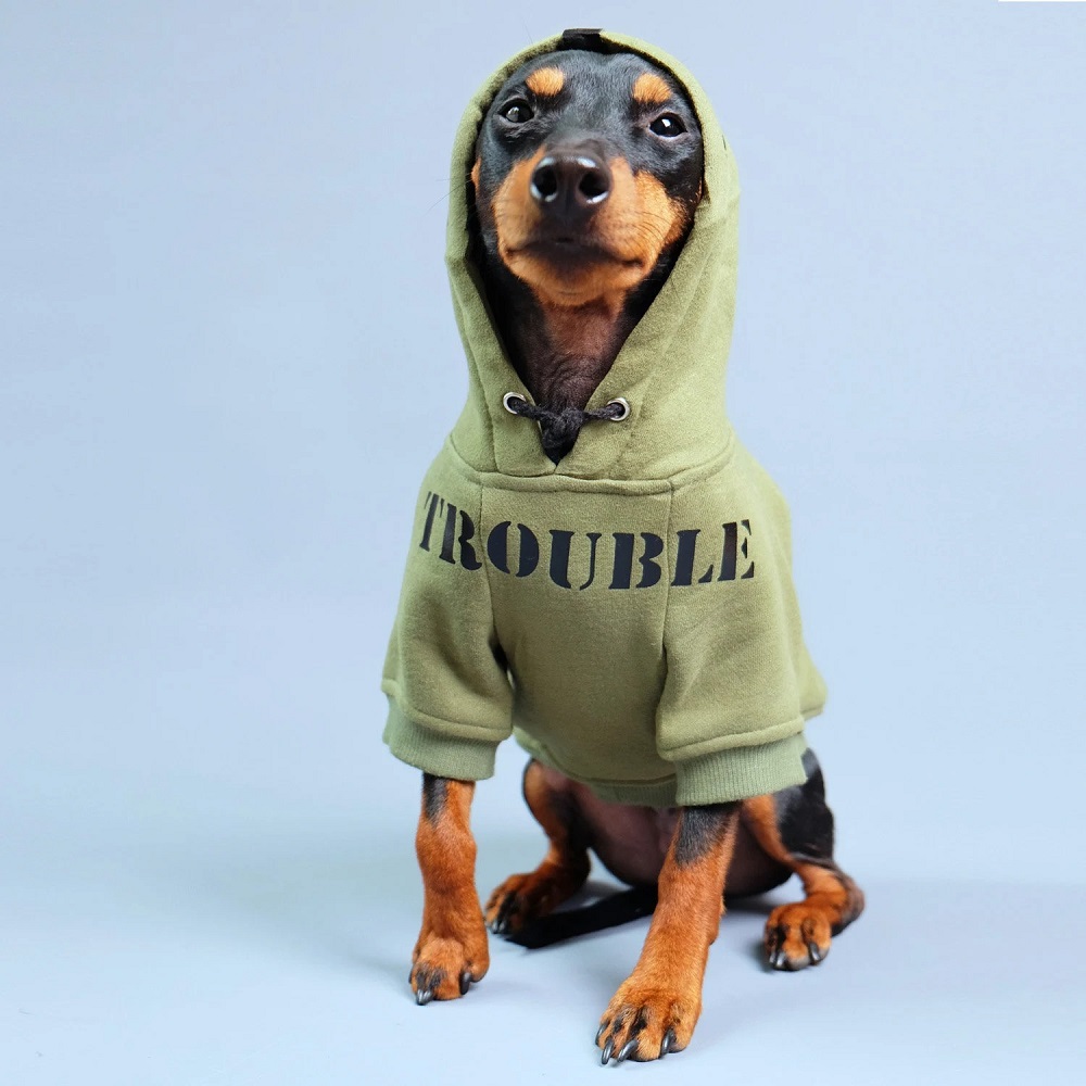 hoodies for dogs
