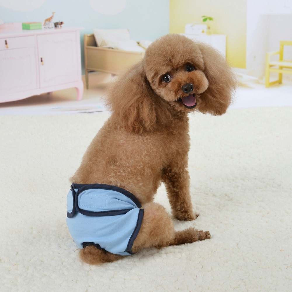 dog pants